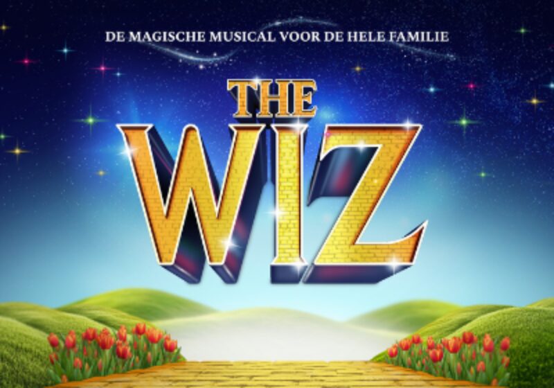 Overzicht The WIZ