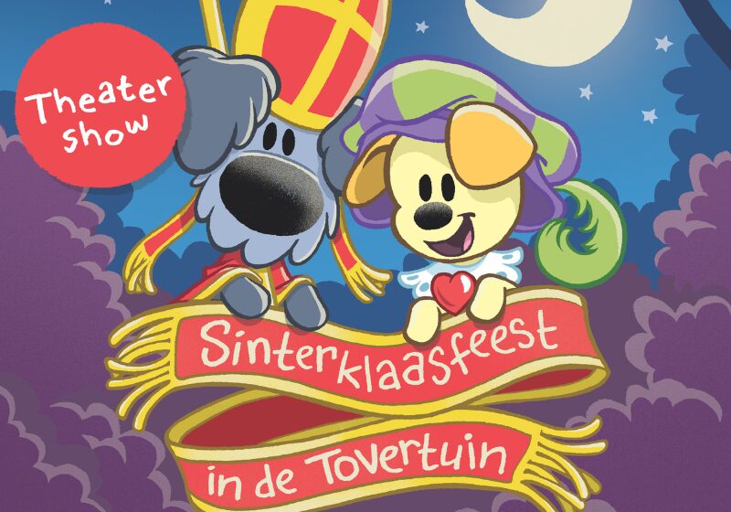 Overzicht Woezel Pip Sinterklaasfeest in de Tovertuin