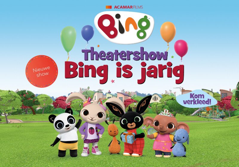 Website overzicht BING Bing is Jarig