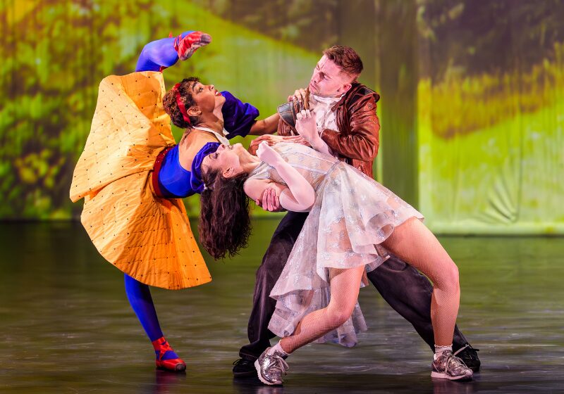 Website overzicht Snow Queen